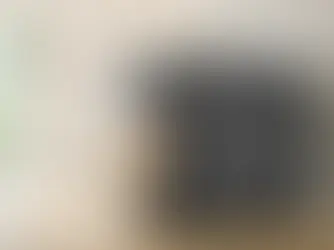 Quelle litière pour chat choisir ?