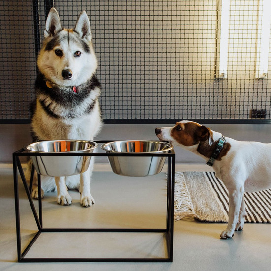 Set de 2 gamelles surélevées pour grand chien en acier et socle design métal noir, Yumi, 159€