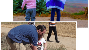 Planta árboles en Israel