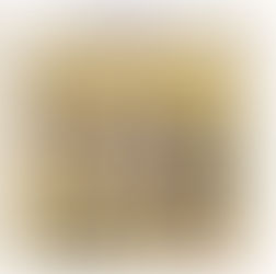 2026年2月のイベントは・・・