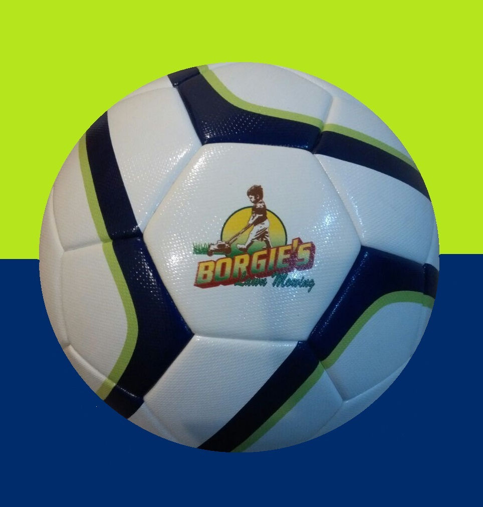 Professional Match Balls