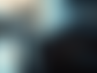 The Guide: 5 Crucial Questions for Choosing a Ceramic Coating Installer in Oakville