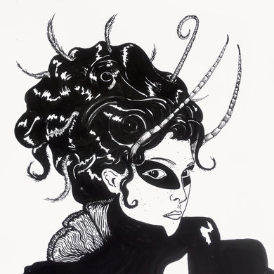 insect
