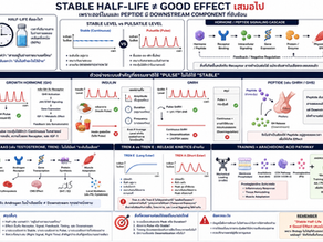 Stable Half-Life ≠ Good Effect เสมอไป 🧬 ยาอยู่นาน ยานิ่ง ไม่ได้แปลว่า “ผลแม่งดีกว่า” เสมอไป 😂