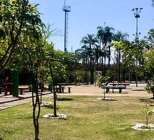 WhatsApp Image 2023-10-09 at 08.04.18.jpeg