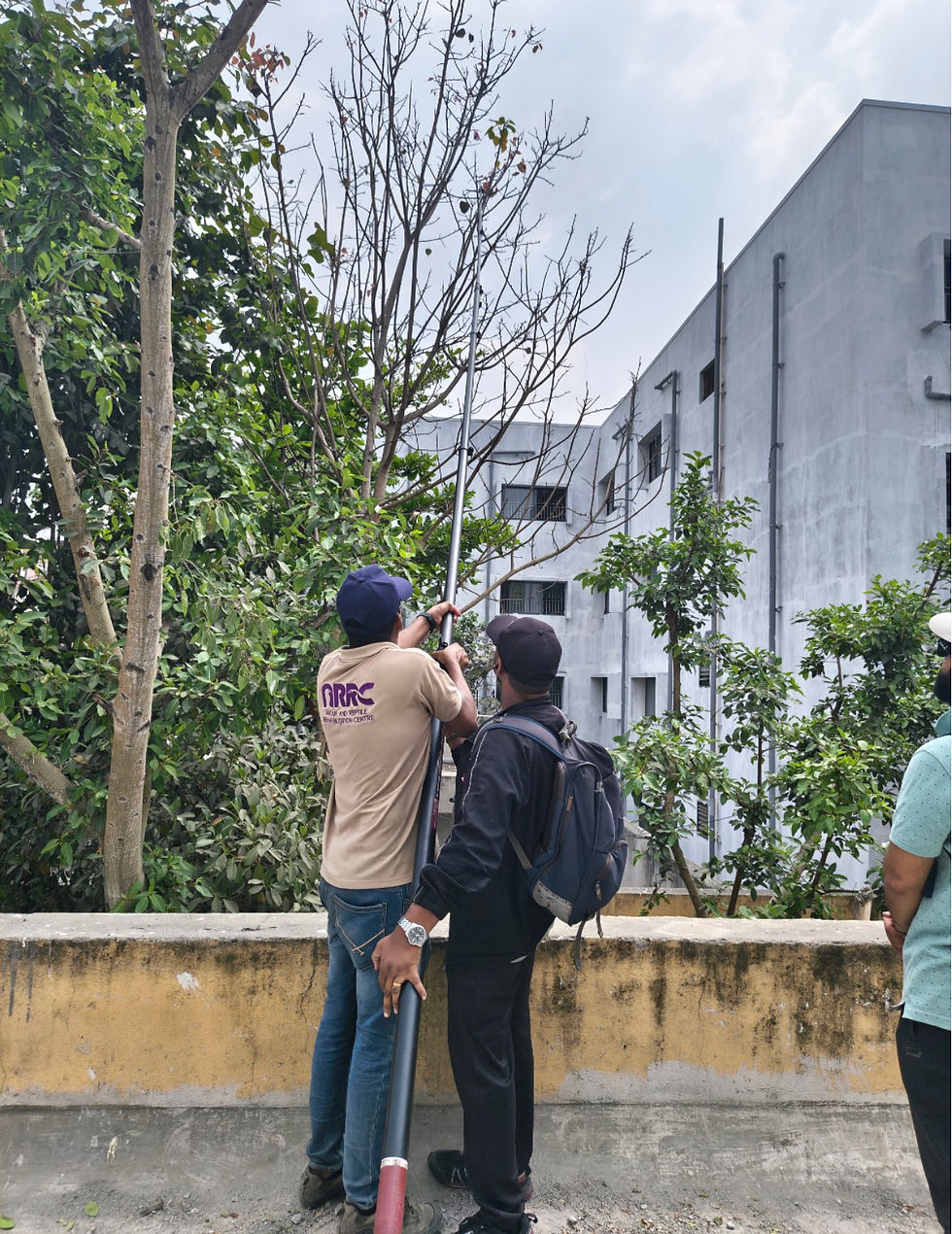 Bengaluru: Manjha cleanup with ARRC