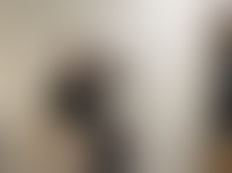 Acceptation de la thèse de doctorat de Bruna Cordebella