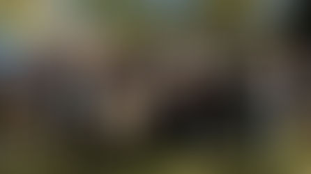 Équipe 2025 Chaire de recherche AEM- Eldorado Gold Québec