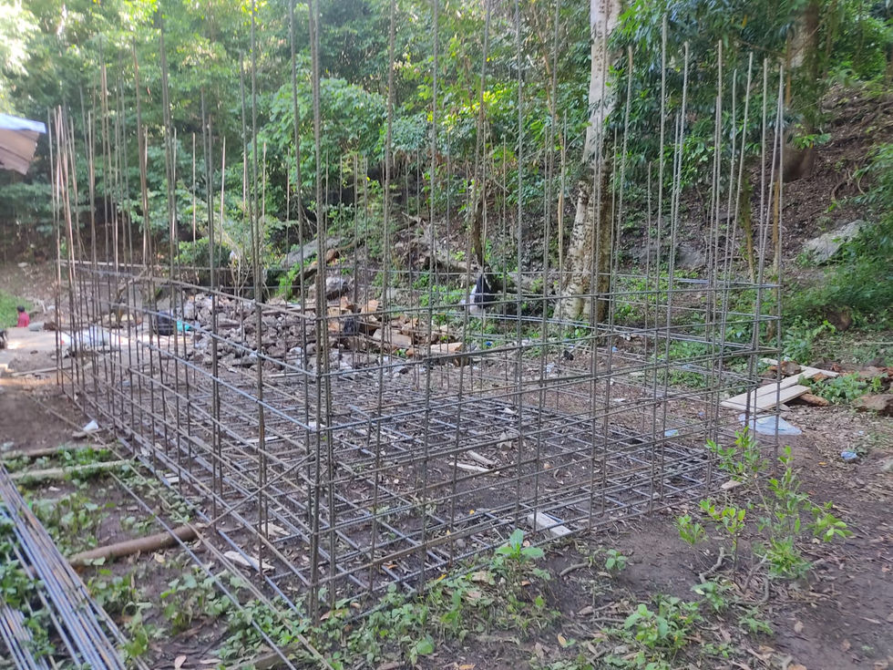 WhatsApp Image 2024-07-29 at 3.49.52 PM