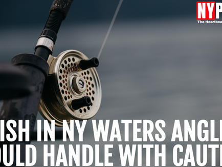3 Fish in New York Waters Anglers Should Handle With Caution!!!⚠️