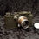 サムネイル： Leica　Ⅲｆ　BD　+　Summar　5ｃｍ　1：2　オリーブドラブRepaint