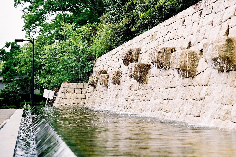 サムネイル： Leica　M３　DS　オーバーホール/整備済/Repaint/Restore品「Black X Black Gold / Matte Finish」