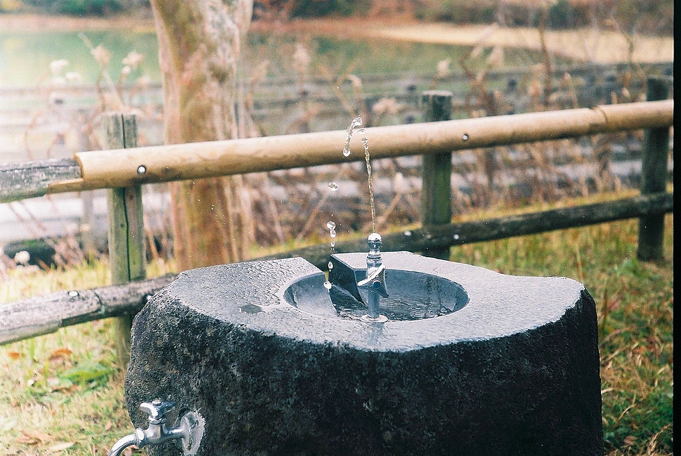 섬네일: NIKON S型　+　NIKKOR-H・C　ｆ＝5ｃｍ　1：2　　ブラックRepaint