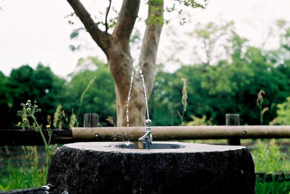 Miniature : Leica　Standard　+　Elmar　5ｃｍｆ＝1：3.5　ピアノ調ブラックRepaint