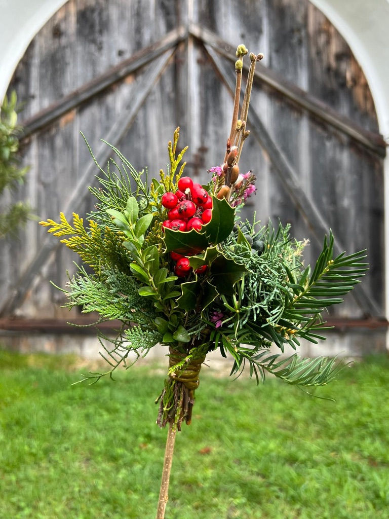 FRÜHLINGSBEGINN  IM EGGERHAUS🌿