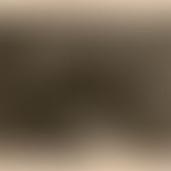 Musiker der Infanteriedivision 106