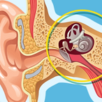 vestibular-balance-disorders-150x150.png