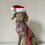 Thumbnail: Christmas Grey Dachshund Bandana