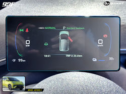 9Skin SPF PPF BYD Atto 1 Speedometer 02