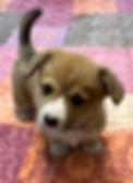 IMG_2503.jpeg