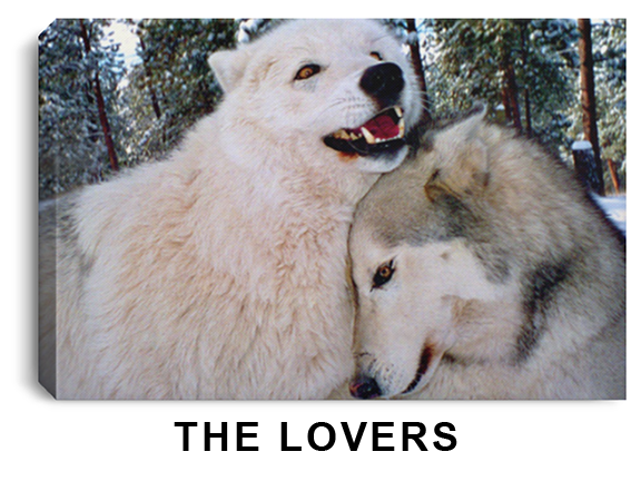 Thumbnail: 12x8 and 8x12