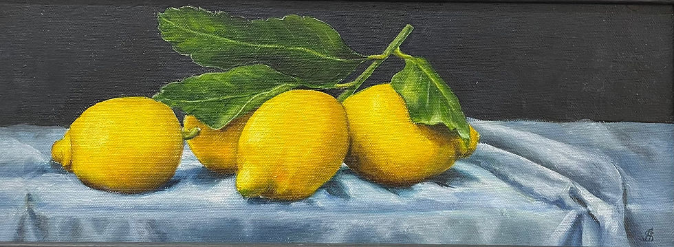 Thumbnail: Angela Skabrin – Lemons, Oil 43cm X 18cm