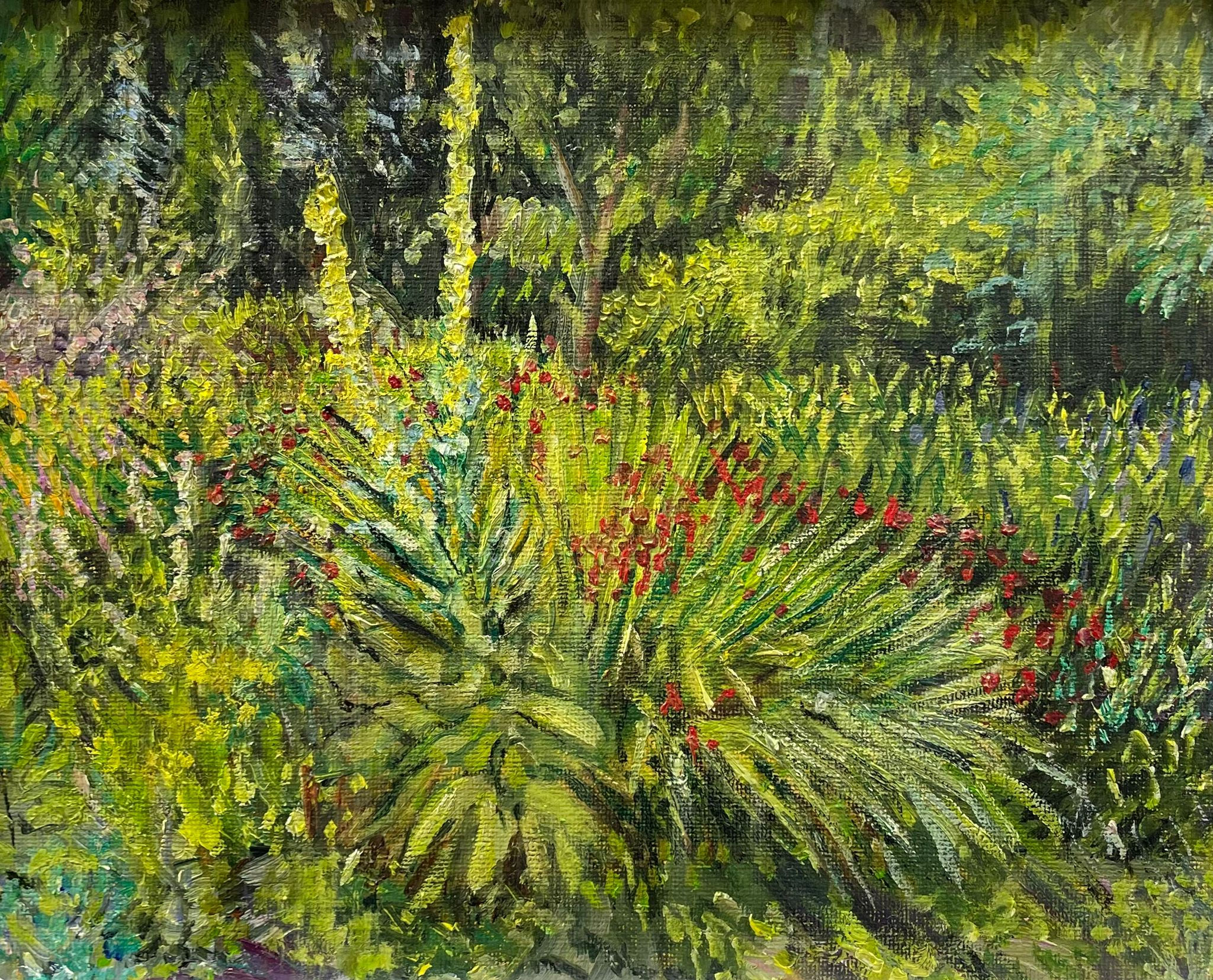 Anna Clement - Summer Symphony Oil on board 20cm X 25cm