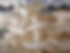 Thumbnail: White Oyster Mushroom spawn ( Florida Variety )