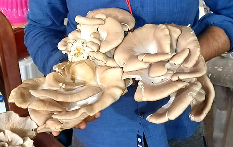 ◎mushroom◎ mushroom | 🖼️🖼️🖼️ S506XX Denim jacket #sold | Instagram