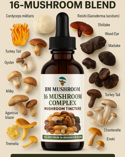 16-in-1 mushroom extract tincture