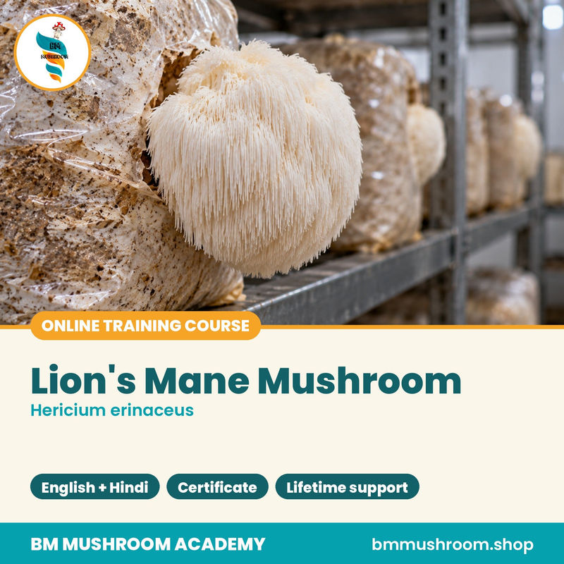 Lion's Mane (Hericium erinaceus) Training Course