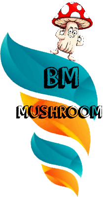 BM MUSHROOM ONLINE STORE