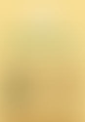 Bicentenário - As singularidades da independência do Brasil