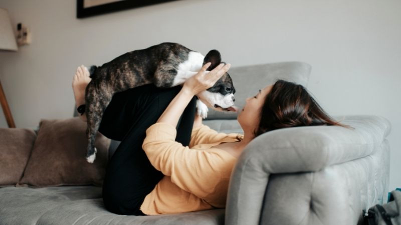 chinese Millennials consumers and pets