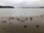 IMG_0710.jpeg