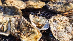 期間限定！えりも漁協直売所にて炭焼き海鮮＆人気飯の販売