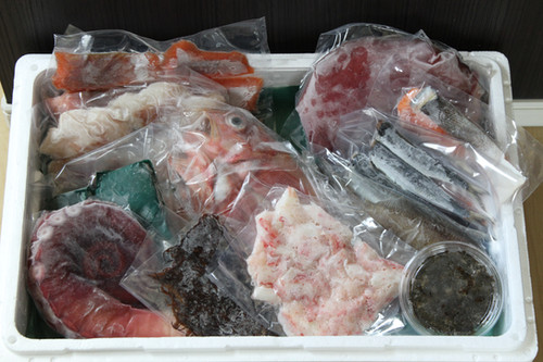 みーこさま専用  鮮魚BOX ミーコ様 専用 みーこさま 専用、鮮魚BOX