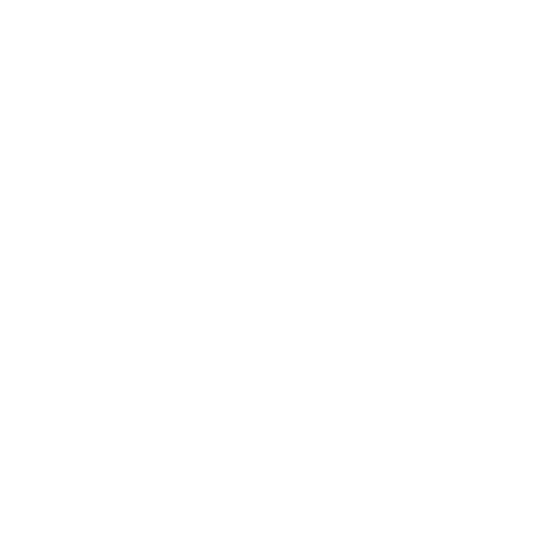 TheVoid_Logo_Spin.gif