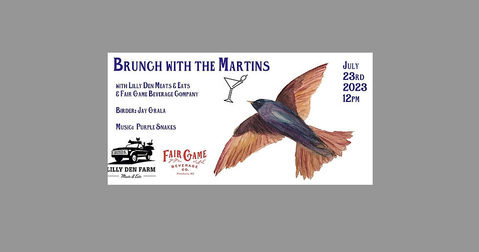2nd Annual date with the Purple Martins