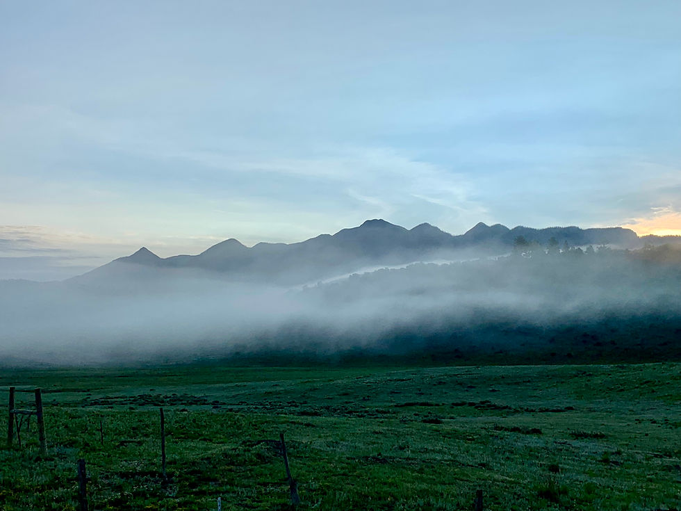 Morning Mist - low mist drifting along the base of mountain silhouettes above a green meadow at dawn