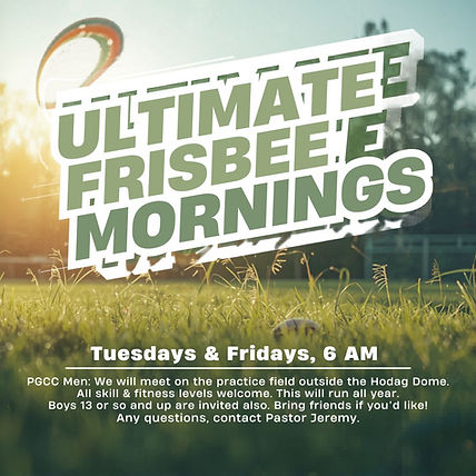 Ultimate Frisbee (1).jpg