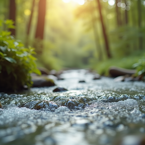 The Art of Mindful Living