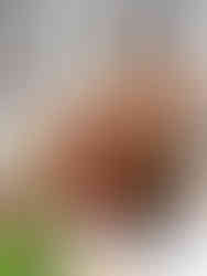 Seasonal Spring photoshoot for Bisous in Honito