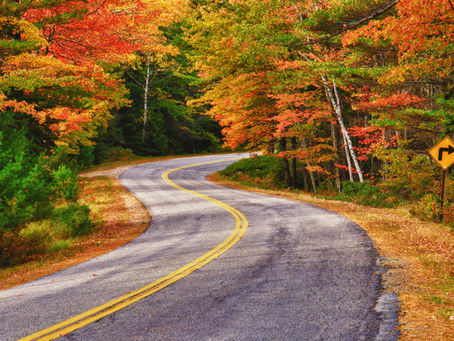 TOP 5 PLACES TO VISIT IN AUTUMN