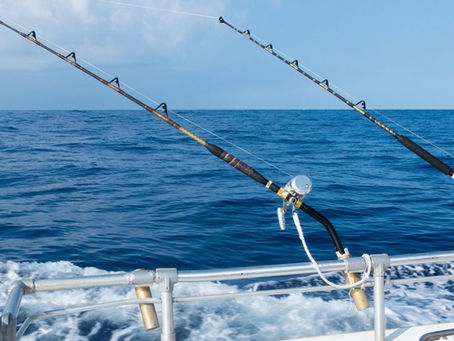 DISCOVER THE BEST SPOTS TO CAST A LINE WITH MAINE FISHING CHARTERS