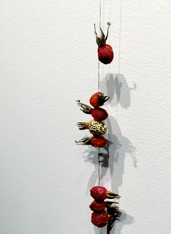 Photograph of a dried rosehips on a string, including one rosehip covered in gold. From the aPART Series #1.