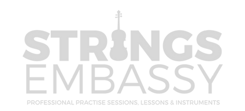 SE_logo_wersja_claim_professional practi