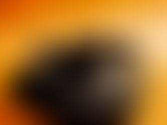 Opening Bank Account For Stablecoin Payouts