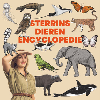 sterrin podcast.jpeg