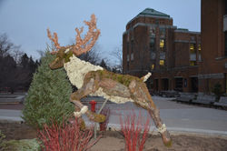 École Saint-Sauveur Val-d'Or